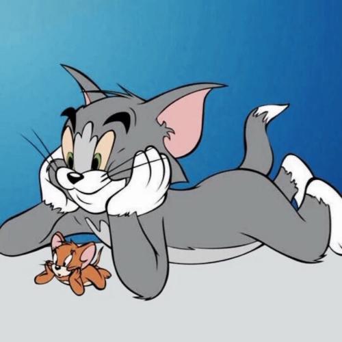 猫和老鼠手游黑猫和橘猫哪个厉害_猫和老鼠手游黑猫和橘猫对比介绍