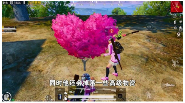 和平精英海岛爱心树在哪_和平精英海岛爱心树位置一览