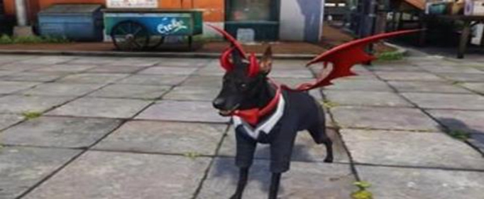 明日之后狗狗周年庆时装怎么得_明日之后狗狗周年庆时装获得攻略,