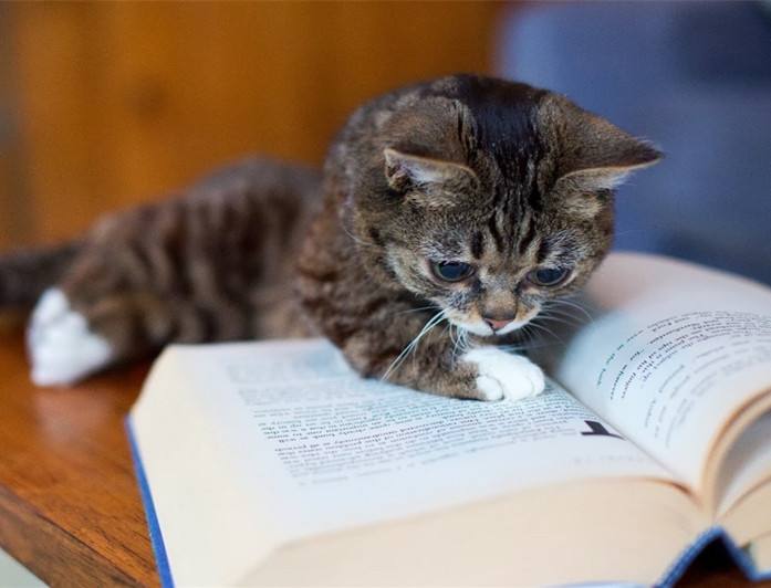 小说阅读器安卓版_安卓电子书阅读器下载