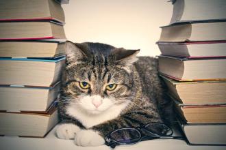 txt免费小说软件_txt免费全本小说下载