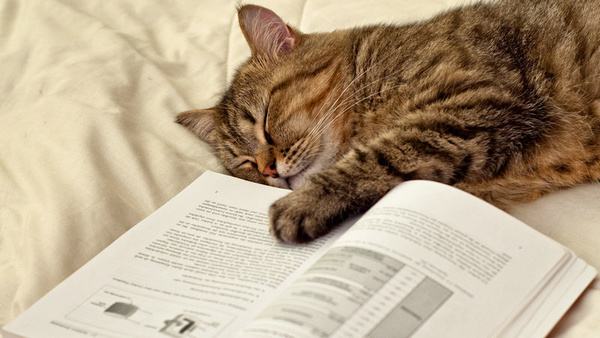 小说阅读器哪个好_十大看书软件排行榜