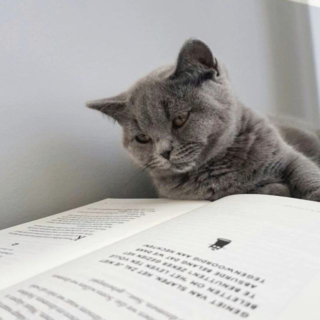 有什么免费追书的软件_免费读书app下载