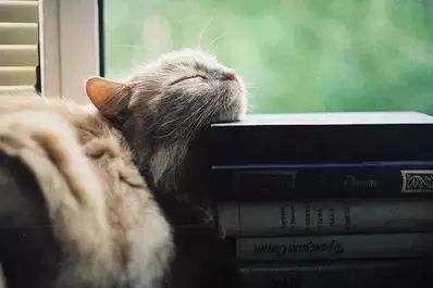 现在什么阅读软件免费_免费的小说宝典最新版下载