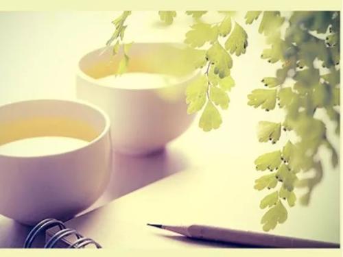 哪个软件免费看小说_2020免费阅读器下载