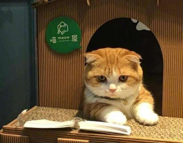 全本免费完结小说大全app_全免费完本小说软件下载