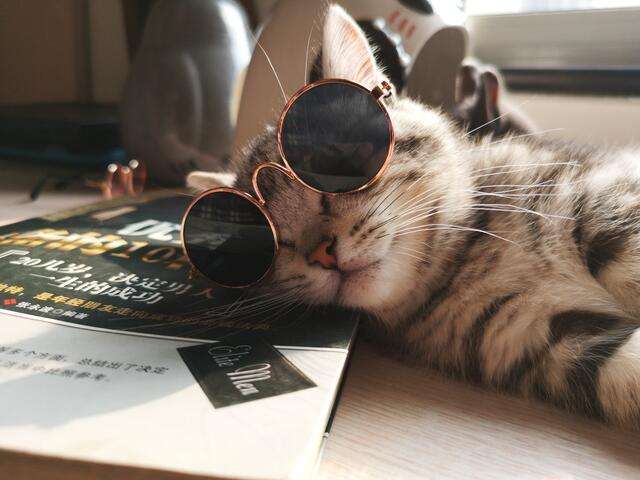 看小说免费的app下载_免费的小说阅读器app