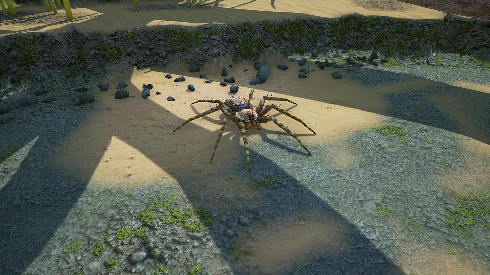 地下蚁国涨潮疯狂难度怎么打_地下蚁国涨潮疯狂难度打法攻略