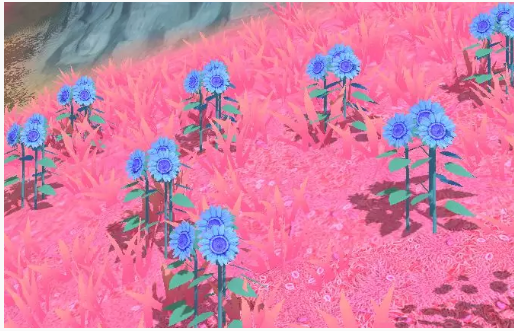 创造与魔法纳坦化向日葵刷新位置在哪_创造与魔法纳坦化向日葵采集地点一览