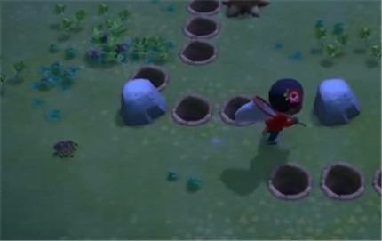 动物之森怎么抓狼蛛_动物之森抓狼蛛方法介绍