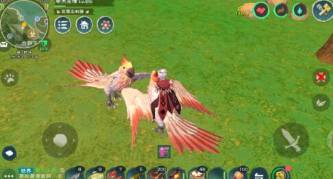 创造与魔法极品鸟怎么抓_创造与魔法极品鸟捕捉技巧