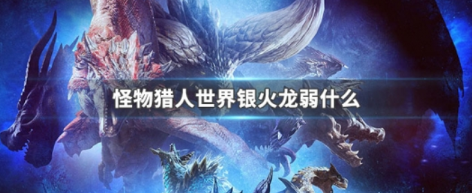 怪物猎人世界银火龙弱点是什么_怪物猎人世界冰原银火龙弱点