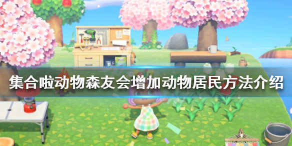 集合啦动物森友会如何增加动物居民_集合啦动物森友会增加动物居民方法介绍