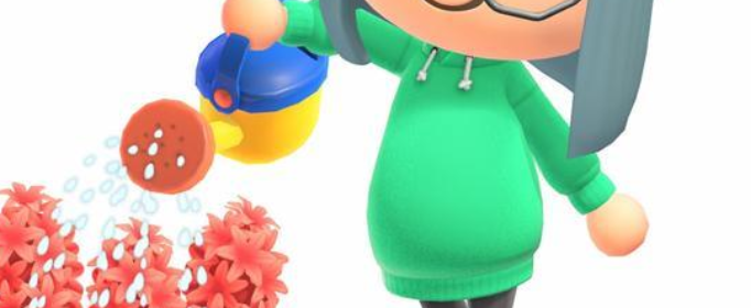 集合啦动物森友会浇水要注意什么_集合啦动物森友会浇水注意事项一览