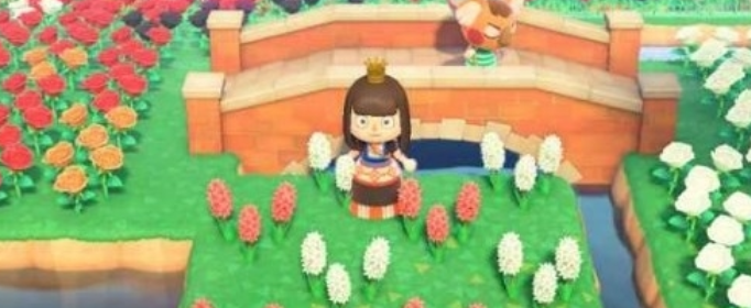 集合啦动物森友会怎么获得粉色风信子_集合啦动物森友会粉色风信子杂交步骤及条件介绍