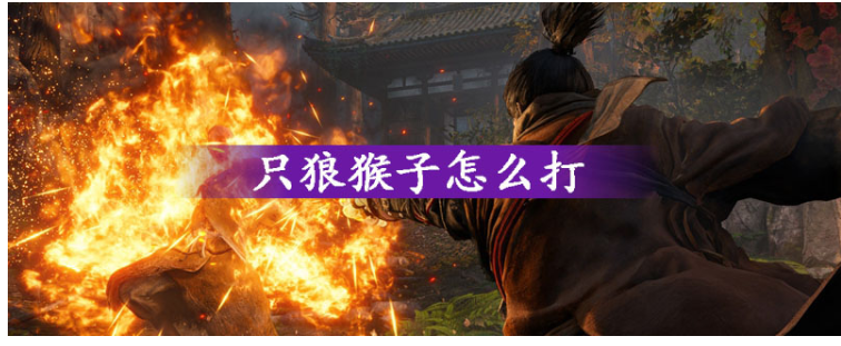 只狼猴子怎么打_只狼猴子打法攻略