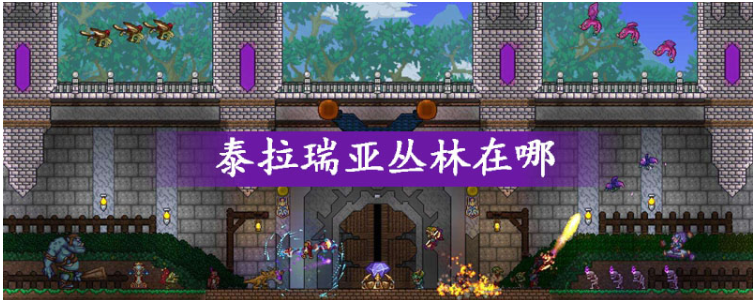 泰拉瑞亚丛林在哪_泰拉瑞亚丛林位置一览