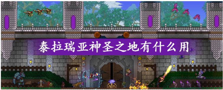 泰拉瑞亚神圣之地的作用是什么_泰拉瑞亚神圣之地的作用一览