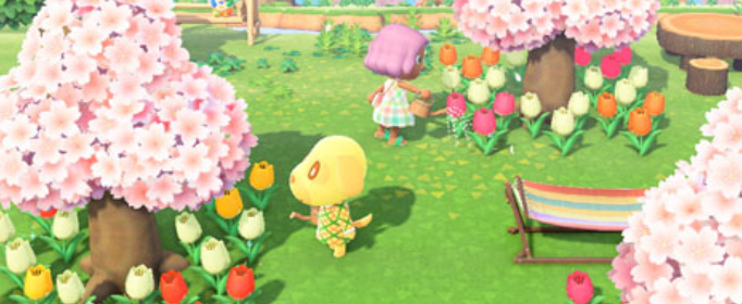 集合啦动物森友会装饰花朵活动怎么做_集合啦动物森友会装饰花朵活动完成攻略