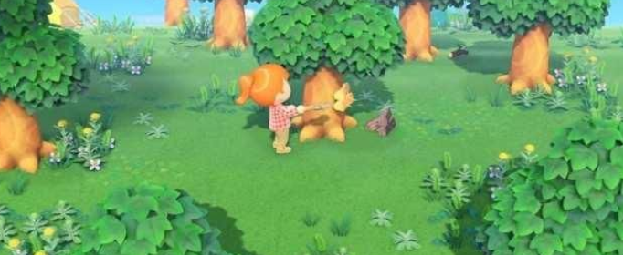 集合啦动物森友会5月新虫有什么_集合啦动物森友会5月新昆虫一览