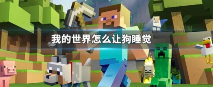 我的世界怎么让狗睡觉_我的世界让狗睡觉方法