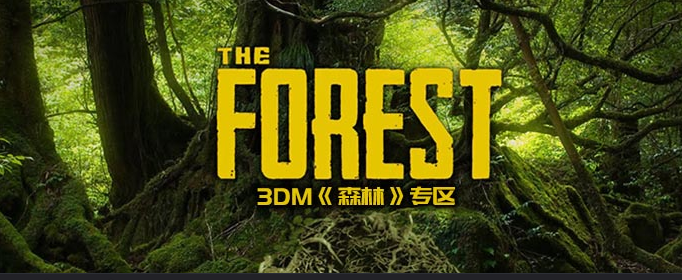 森林绳子怎么做_森林绳子制作合成攻略