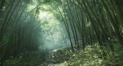 对马岛之魂竹场位置在哪里_全竹场位置分享