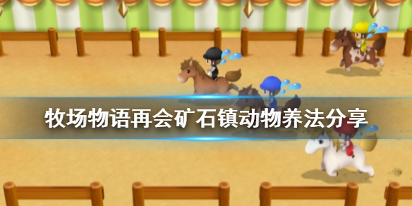 牧场物语重聚矿石镇动物怎么养_动物养法攻略