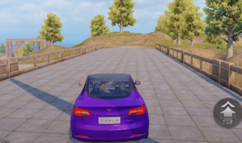 和平精英特斯拉皮肤是永久吗_特斯拉皮肤欣赏