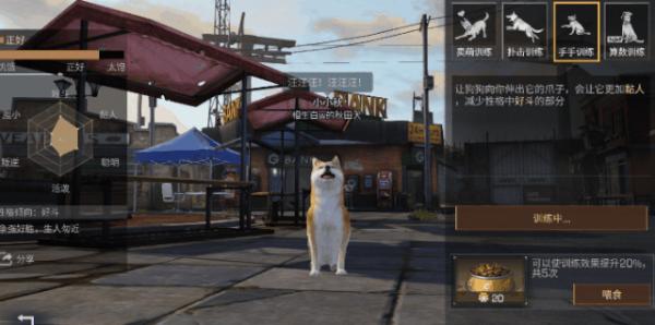 明日之后寻回犬怎么训练_寻回犬训练方式攻略