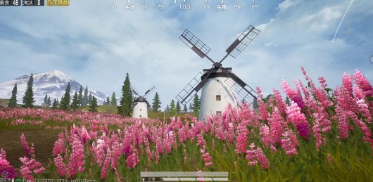和平精英鲁冰花海在哪里_山谷鲁冰花海位置分享