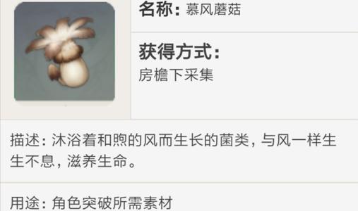 原神慕风蘑菇哪里多_慕风蘑菇速刷攻略