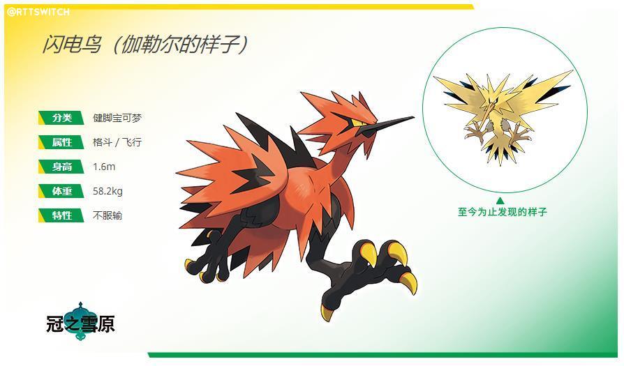 口袋妖怪剑盾伽勒尔闪电鸟怎么配招_宝可梦剑盾伽勒尔闪电鸟配招推荐