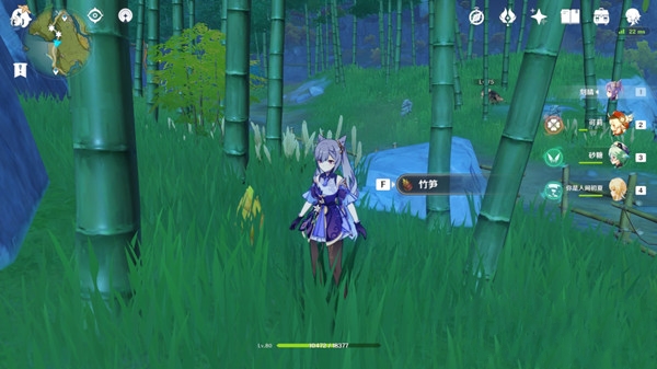 原神竹笋在哪里采集_竹笋分布位置一览