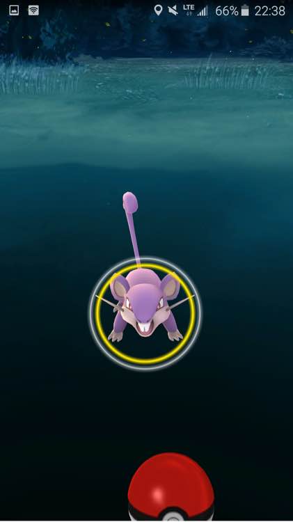 《口袋妖怪go》闪退怎么办 闪退解决攻略