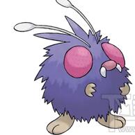 《Pokemon GO》毛球怎么进化 口袋妖怪go毛球进化攻略