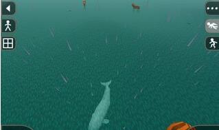 生存战争鲸鱼怎么捕_生存战争安卓无敌版攻略