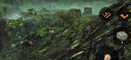 被遗弃者道具性价哪个高 被遗弃者无敌版道具分析攻略