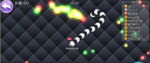 蛇蛇大作战怎么玩 蛇蛇大作战无敌版新手进阶技巧