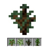 《我的世界》树苗怎么种植 各类树苗快速种植方法