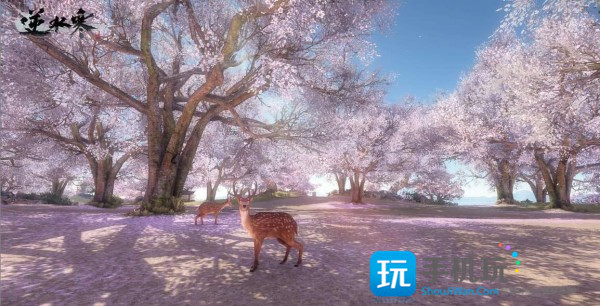 逆水寒七夕节活动什么时候开_逆水寒七夕节活动介绍