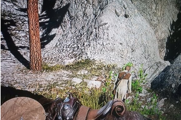 荒野大镖客2石雕机关怎么解密_荒野大镖客2三金条石雕解密方法