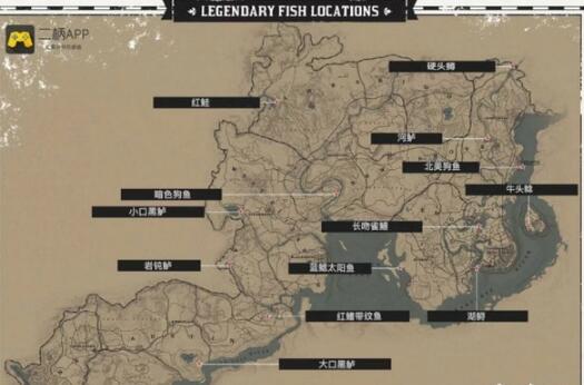 荒野大镖客2传奇鱼位置在哪_传奇鱼吃什么饵料 荒野大镖客2传奇鱼位置在哪_传奇鱼吃什么饵料