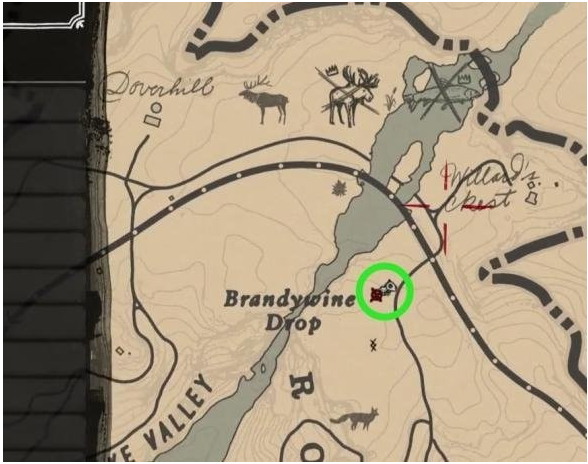 荒野大镖客2美洲狮在哪_荒野大镖客2美洲狮刷新位置一览 荒野大镖客2美洲狮在哪_荒野大镖客2美洲狮刷新位置一览