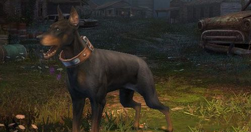 明日之后选哪个宠物狗好_明日之后宠物狗选择推荐 明日之后选哪个宠物狗好_明日之后宠物狗选择推荐