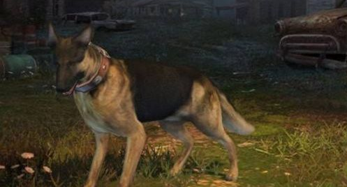 明日之后狗狗转职哪个好_狗狗转习性推荐 明日之后狗狗转职哪个好_狗狗转习性推荐