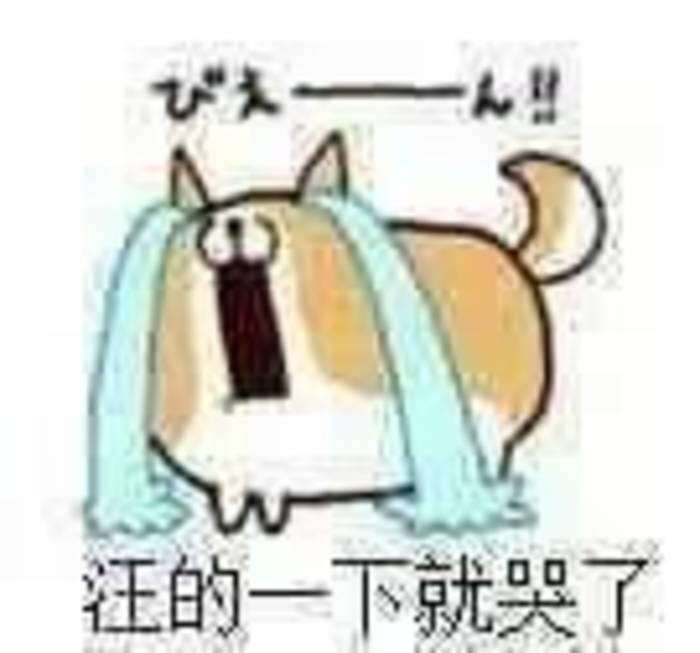 哇的一声就哭了表情包_微信哇的一下哭出声表情包图片