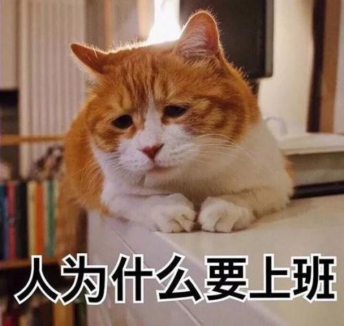 工作表情图片带字_上班族吐槽系列表情包大全 工作表情图片带字_上班族吐槽系列表情包大全