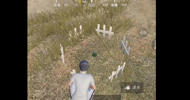 刺激战场小树苗位置在哪_6棵小树苗具体位置介绍 刺激战场小树苗位置在哪_6棵小树苗具体位置介绍