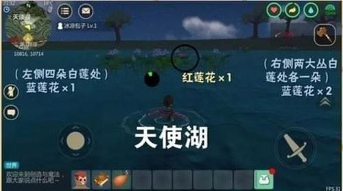 创造与魔法红莲分布位置在哪？